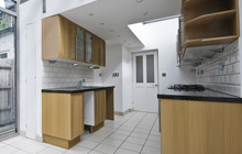 Deptford kitchen extension leads